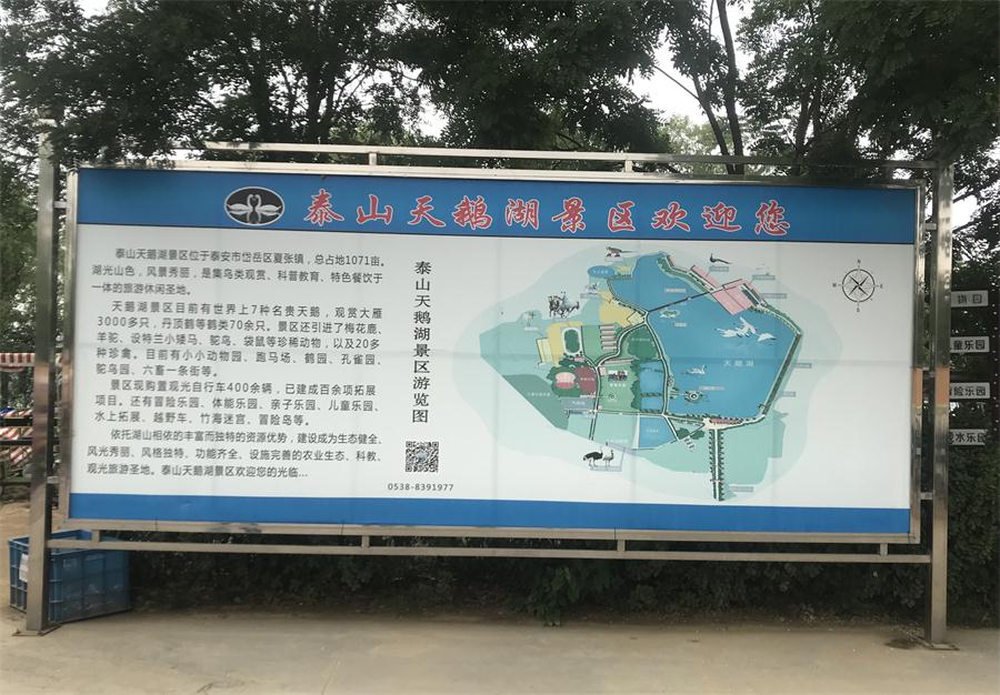 天鵝湖風(fēng)景區(qū)（泰山）速覽！(圖2)