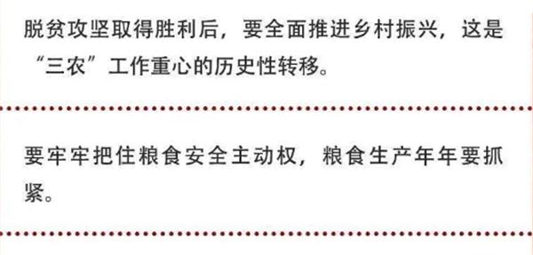 2020年中央農(nóng)村工作會議精神速覽！(圖2)