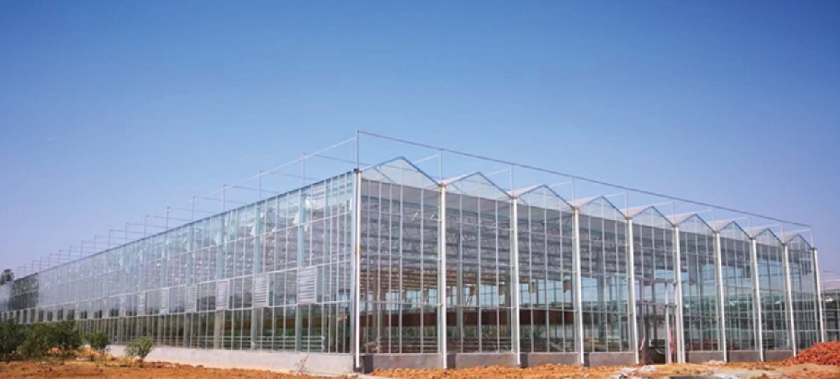 信橋鋼構(gòu)：打卡蒙陰農(nóng)業(yè)溫室大棚、青州黑牛養(yǎng)殖基地！(圖2)